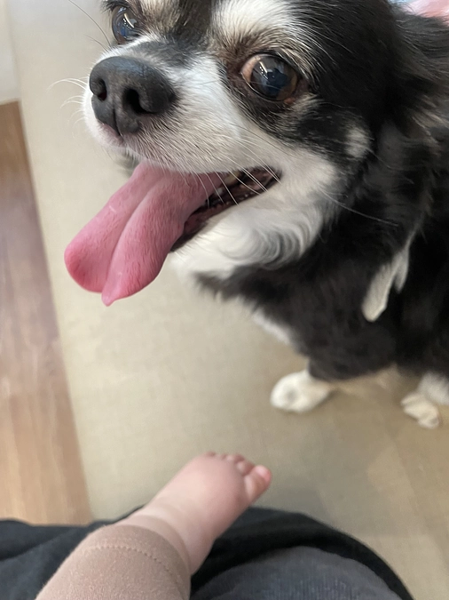 本日から入院です