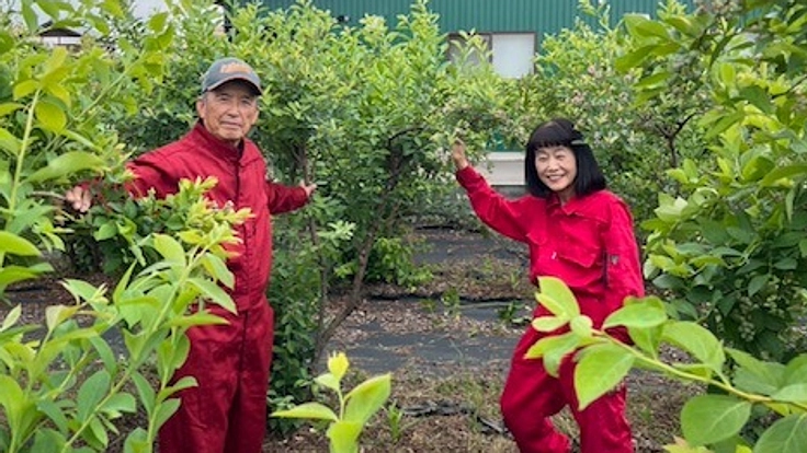安全で美味しいブルーベリーを一緒に作りませんか。福岡県筑後市