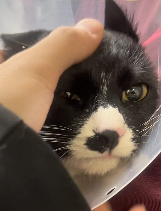 プロジェクト最終日 過去の明細について