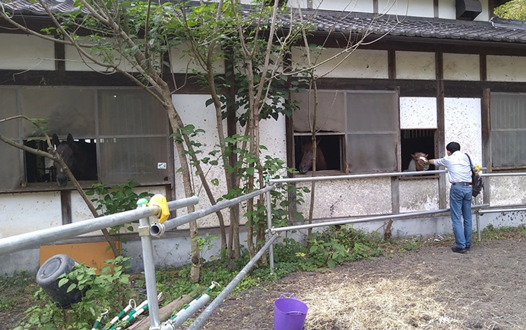 ウマフリのライター・松崎様が取材に来てくださいました！