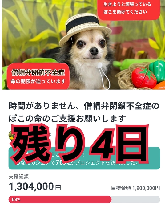 残り4日😵‍💫😵‍💫😵‍💫