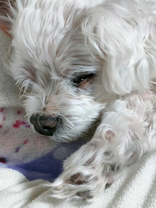 お薬の追加、来週再検査