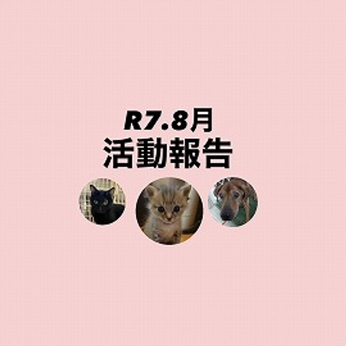 R７．８月活動報告