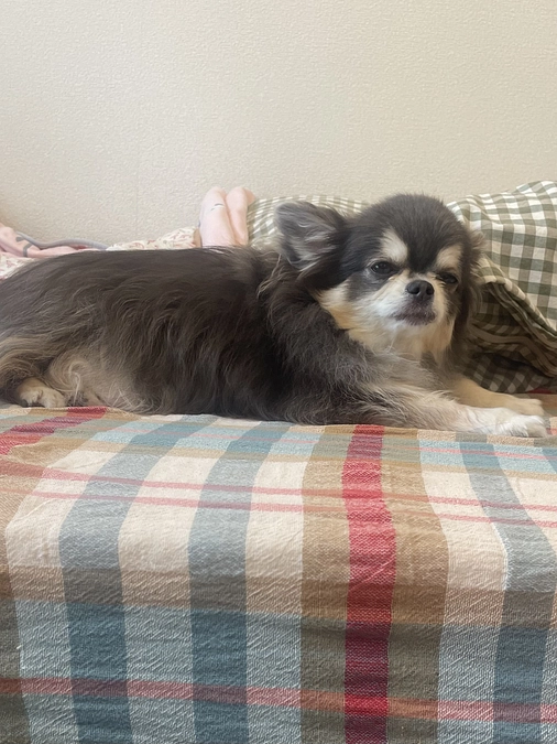 9/13の感謝祭について