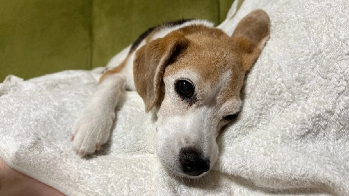 9/28 今現在のちびっこの様子～初めての活動報告～