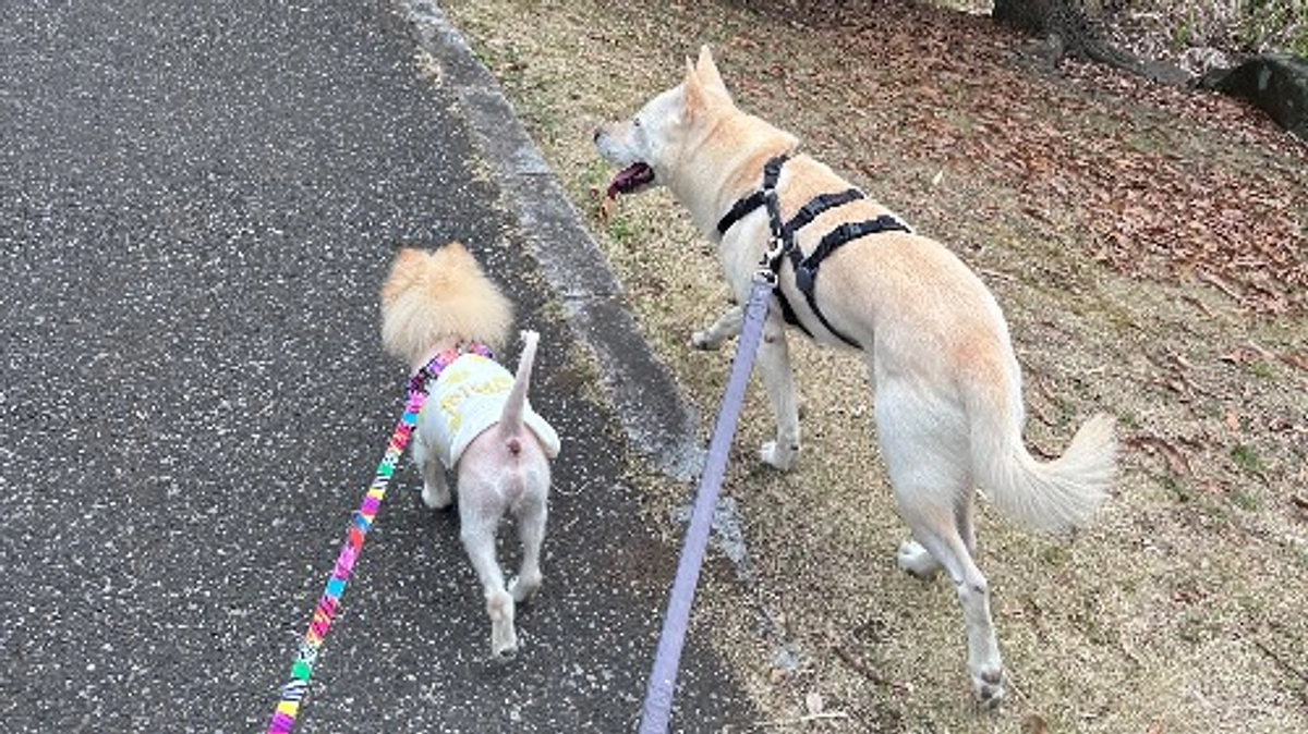 41/59 ☆ 愛すべき