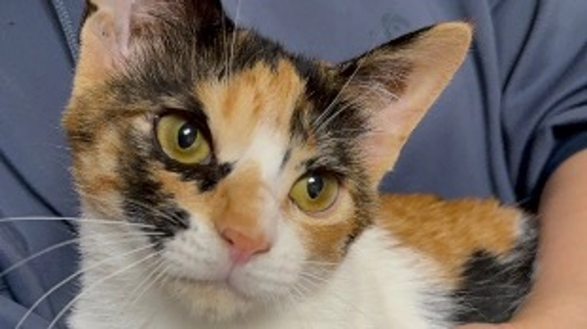 体調良くなりました！