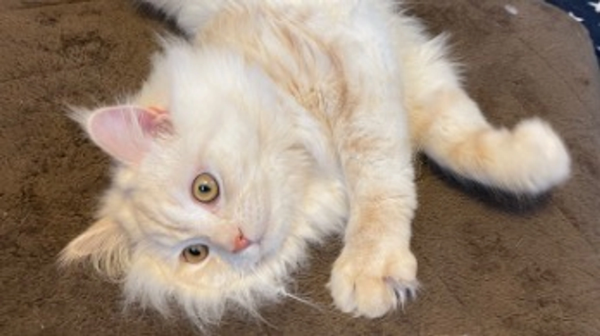 今日のトキ⛄️☀️🍃