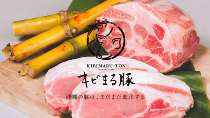 とろける口どけ。沖縄の魅力が詰まった「キビまる豚」を全国へ！