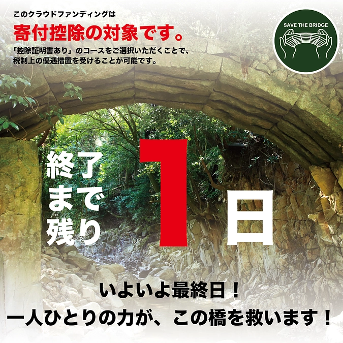 ついに終了まであと１日！絵本作家・石川えりこさんから応援メッセージが届きました