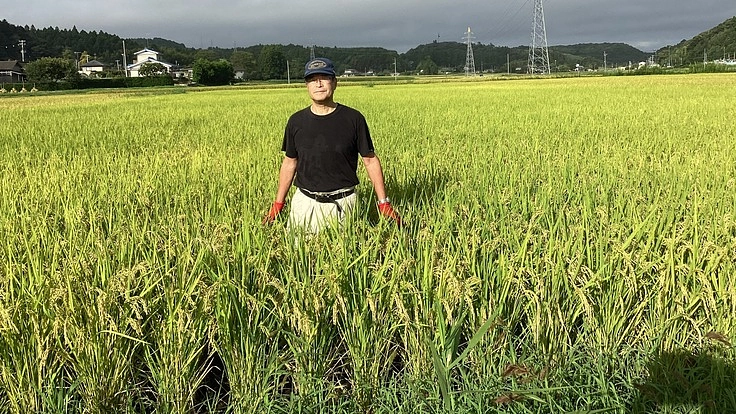 宮城県東松島市上下堤で作られたお米を使った日本酒を海外展開したい