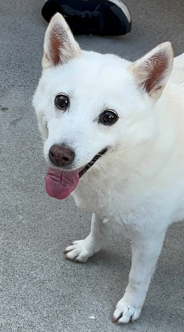 ドキドキなスタート