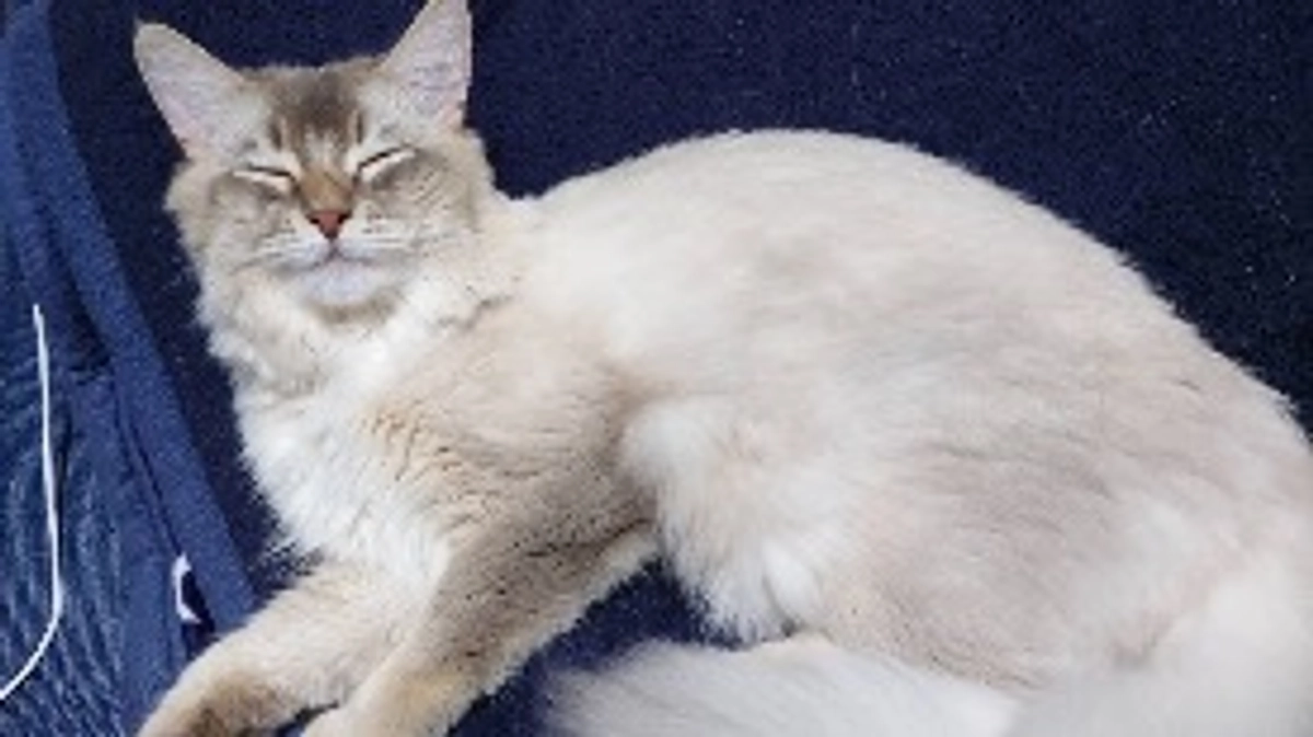 ラテの面会に行きました。