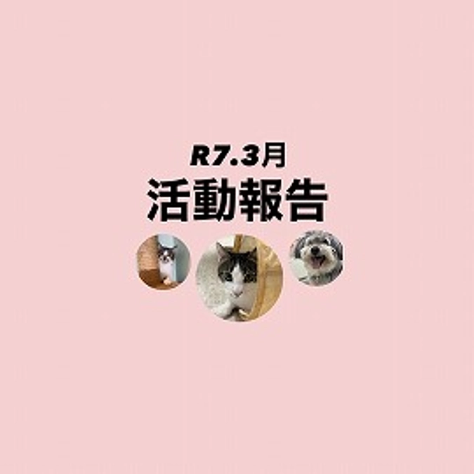 R７．３月活動報告