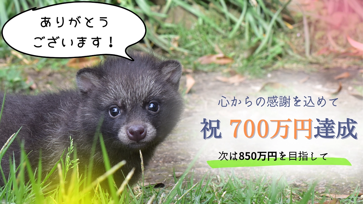 【御礼】セカンドゴールも無事に達成！！ 最終日まではサードゴールを目指して