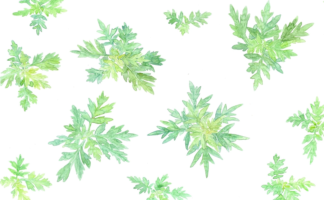 応援支援/1,000円