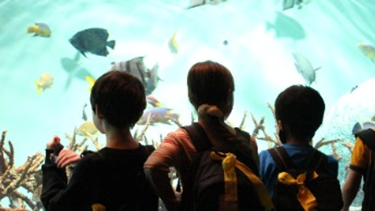 次はどこ行くの！？　＃日帰りプログラム「みっくす！」