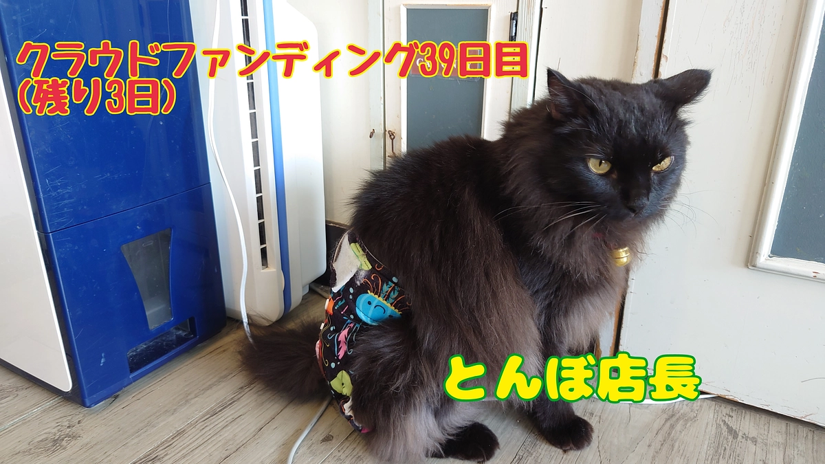 とんぼ店長のパン☆コレ