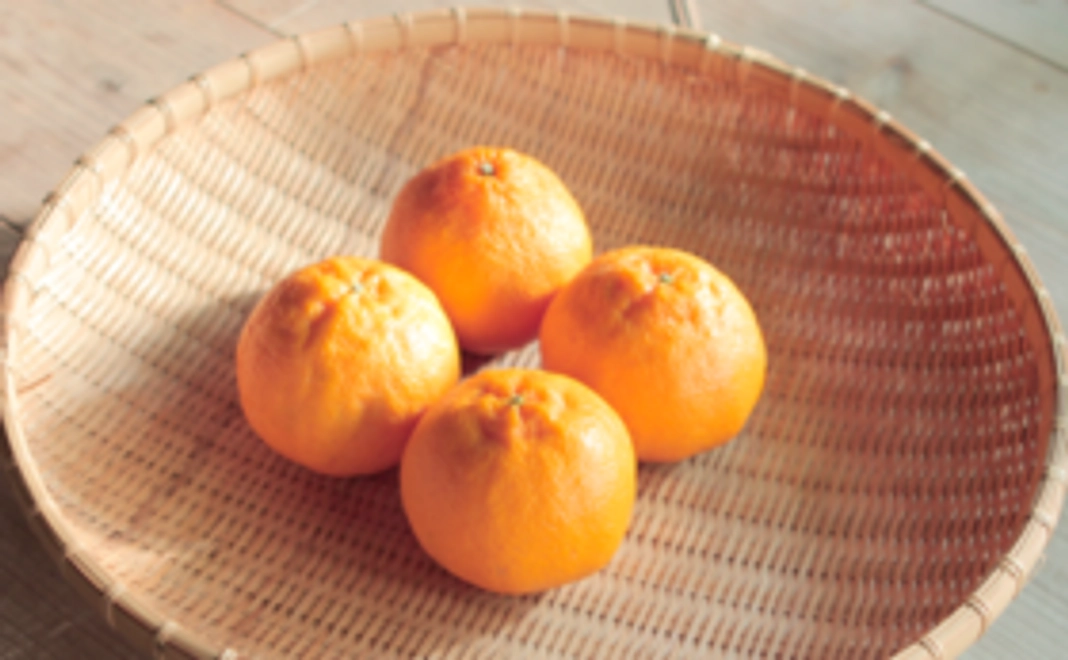 減農薬デコポン(小箱)