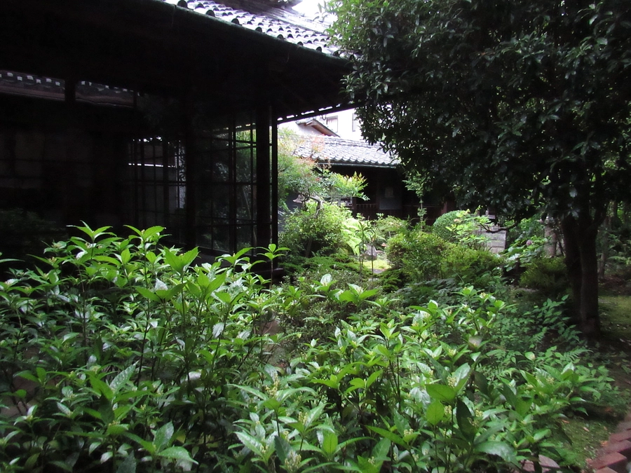 多数のご支援ありがとうございます