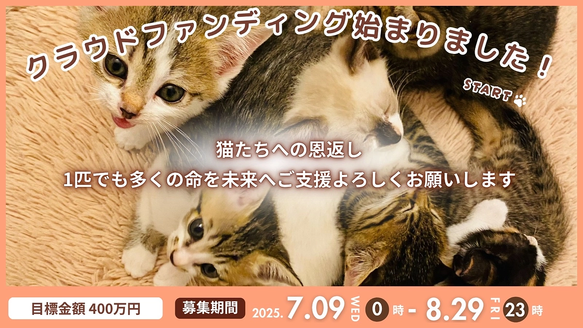 初めての大きなクラウドファンディングに挑戦！初日から、たくさんのご支援・応援をありがとうございます！