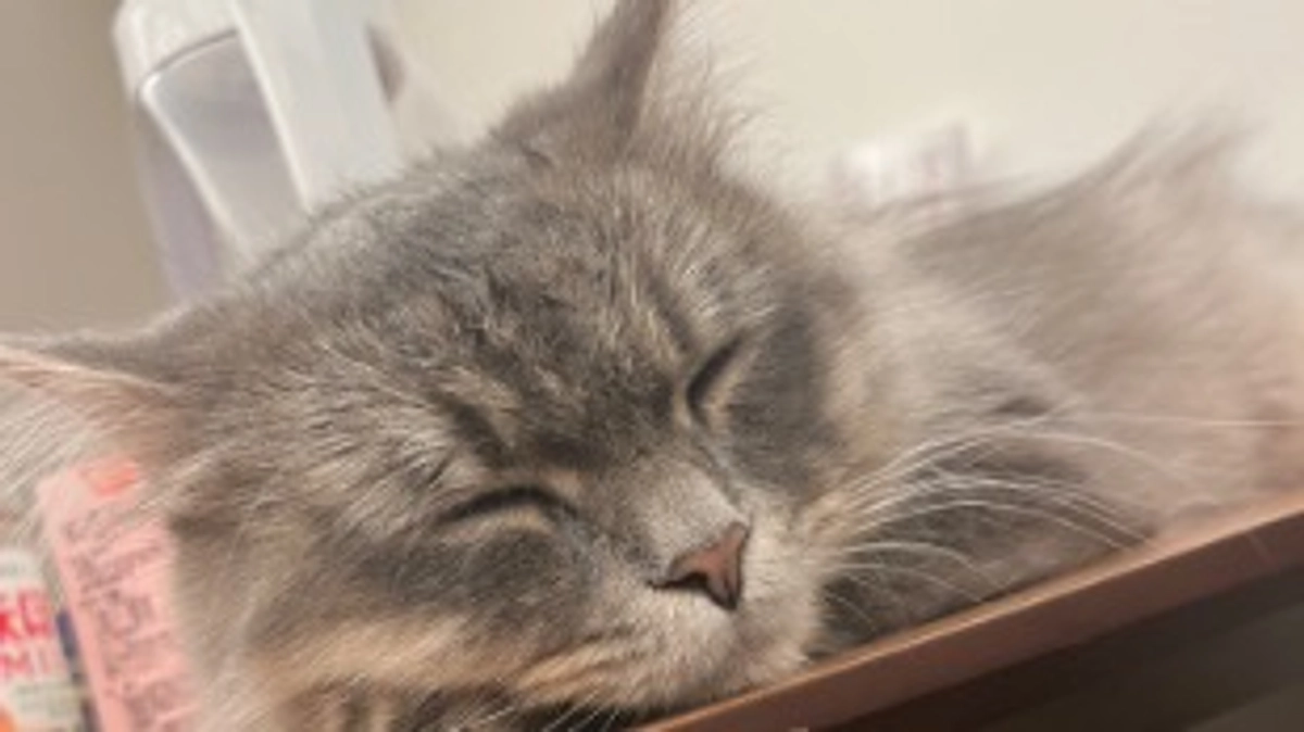 退院後1回目定期検診