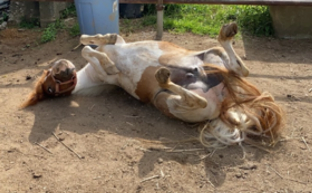 完成まであと少し!【お礼のメッセージ】