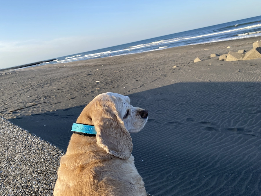 ロレンツア　HAPPY BIRTHDAY !!!!