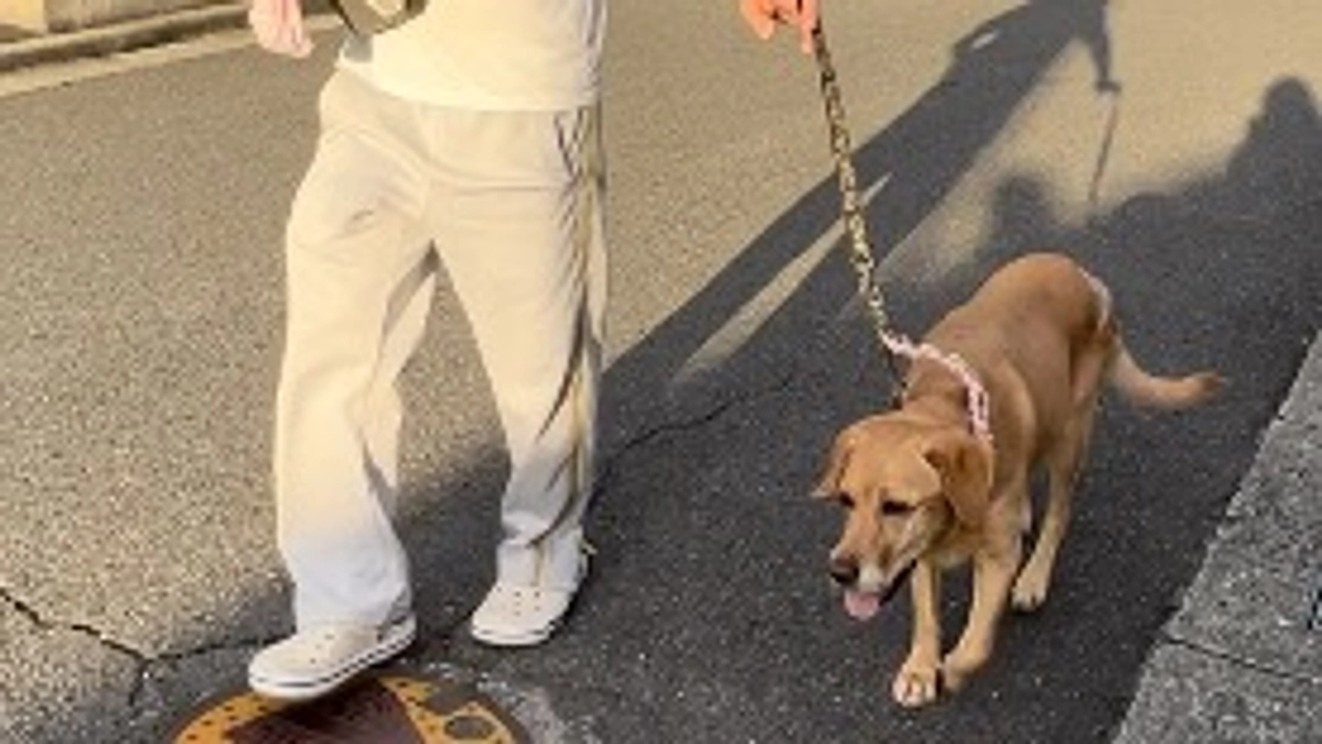 ごはん食べない…