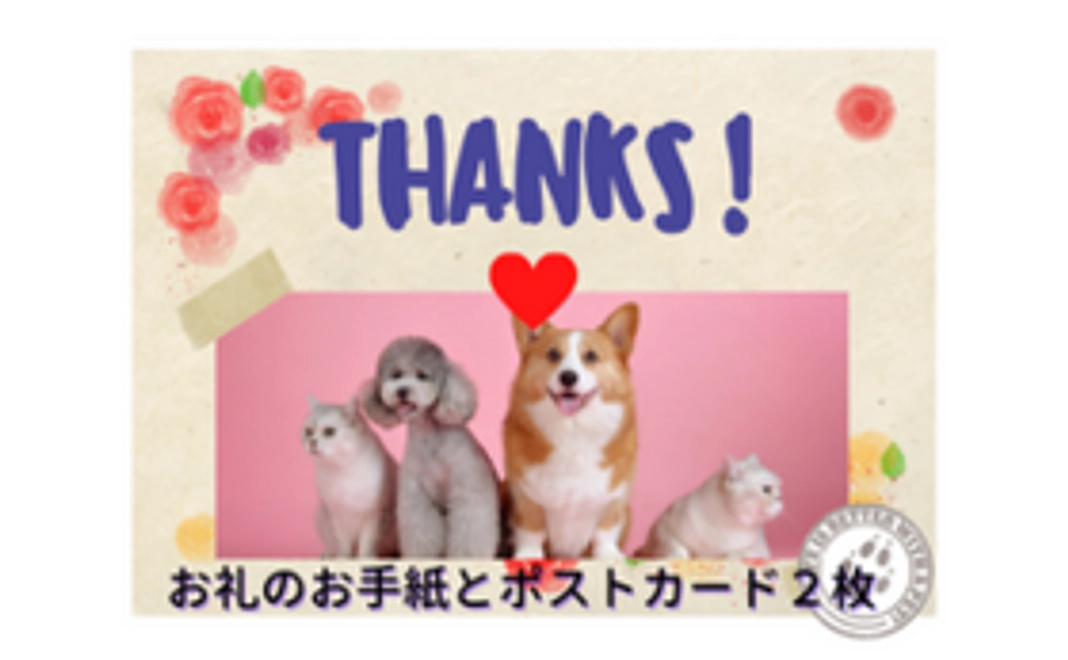 お礼のお手紙＋オリジナルポストカード2枚 ＋施設完成までの経過報告
