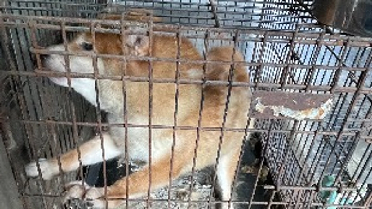 ここ最近の出来事。