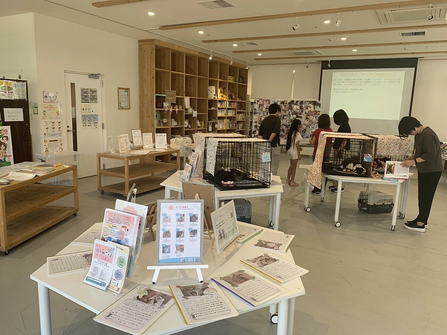 8日(土)の星空ねこお見合い会のご報告