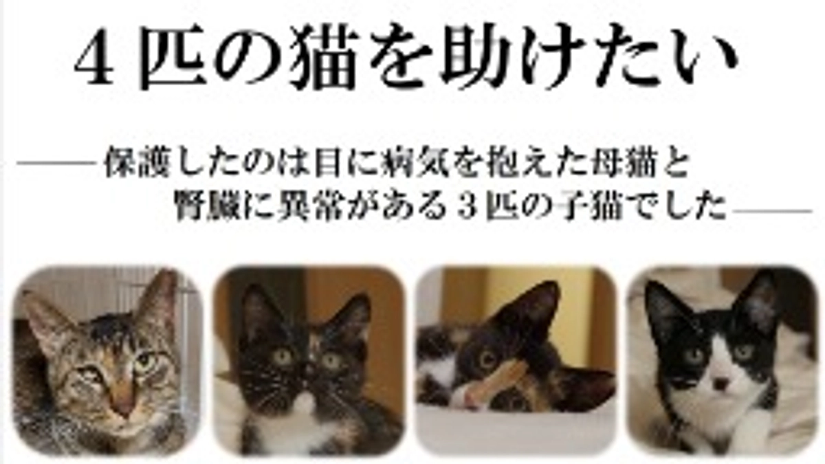 ご支援者様が10人に達しました！