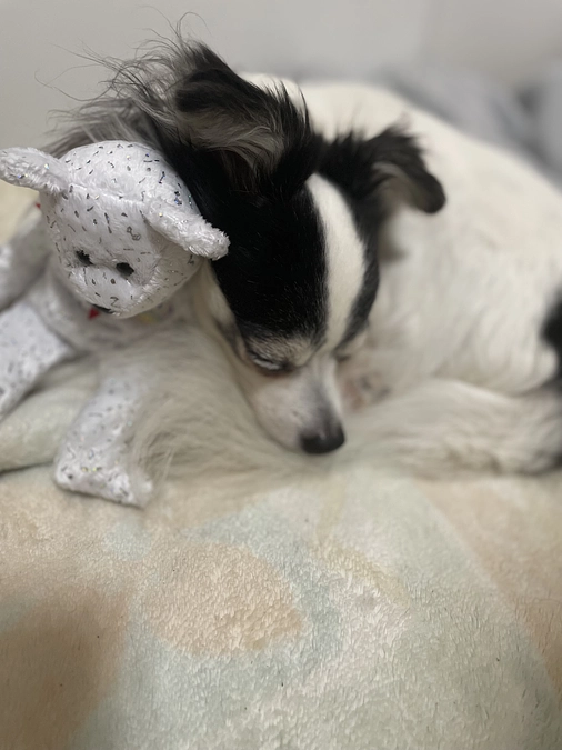 昨日も病院で点滴、注射してきました