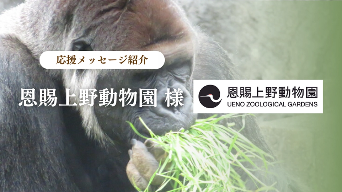 恩賜上野動物園様からの応援メッセージのご紹介