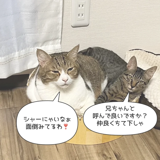 カール君が里親に行きました。