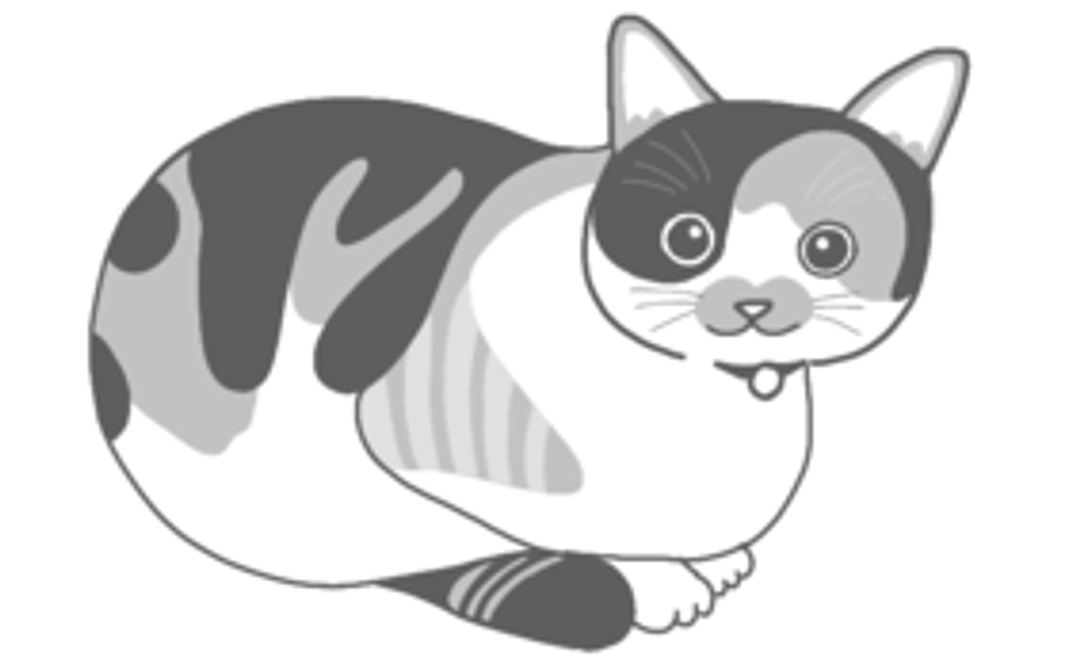 【応援コース1000】