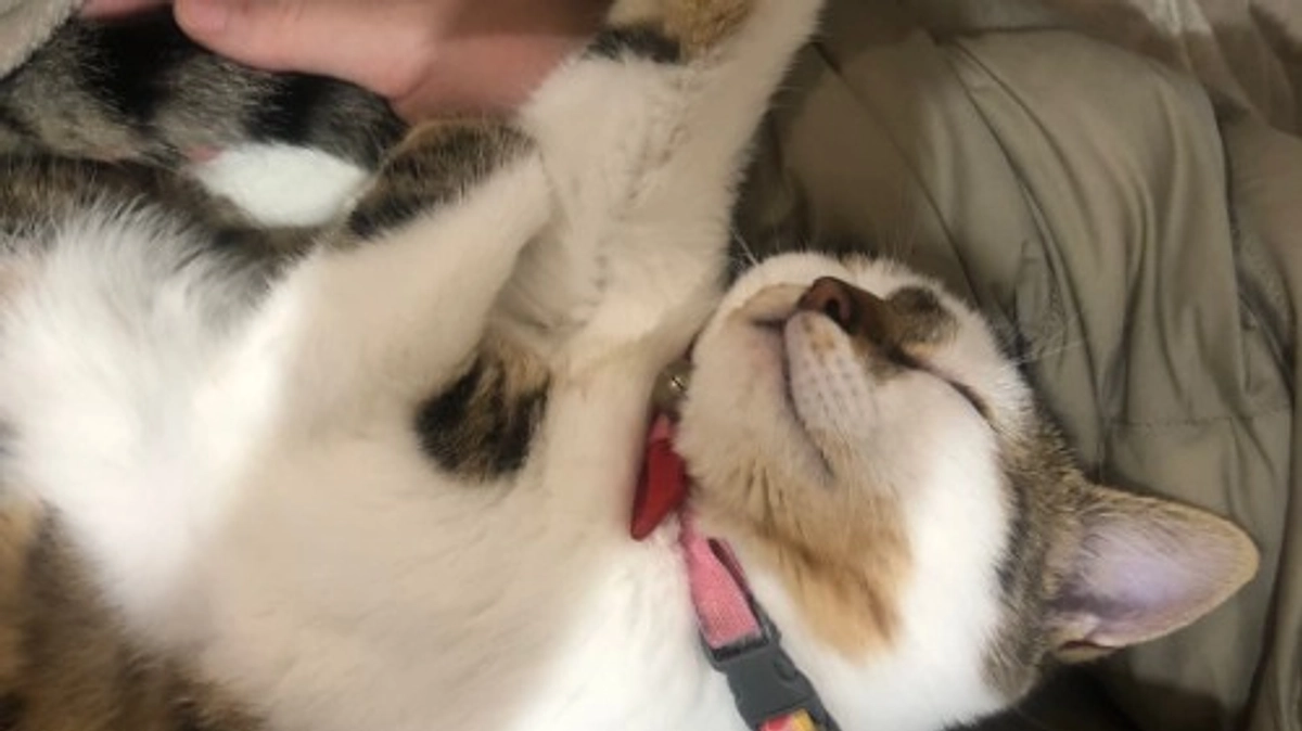 2回目の検診日🏥