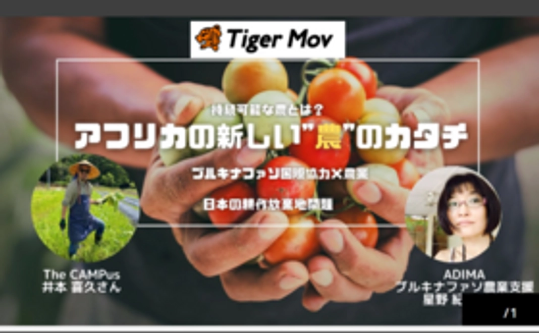 【タイガーモブ企画参加者限定】ADIMAの活動参加券