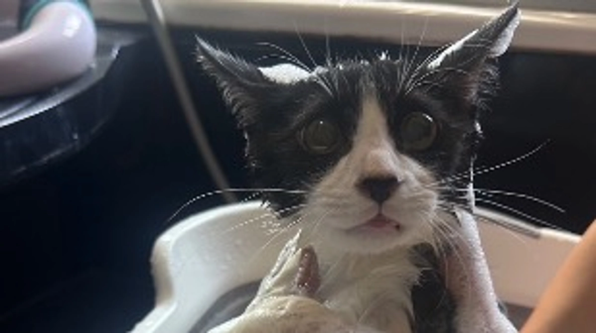 11月9日 〜 日常報告⑧ 〜保護から79日目