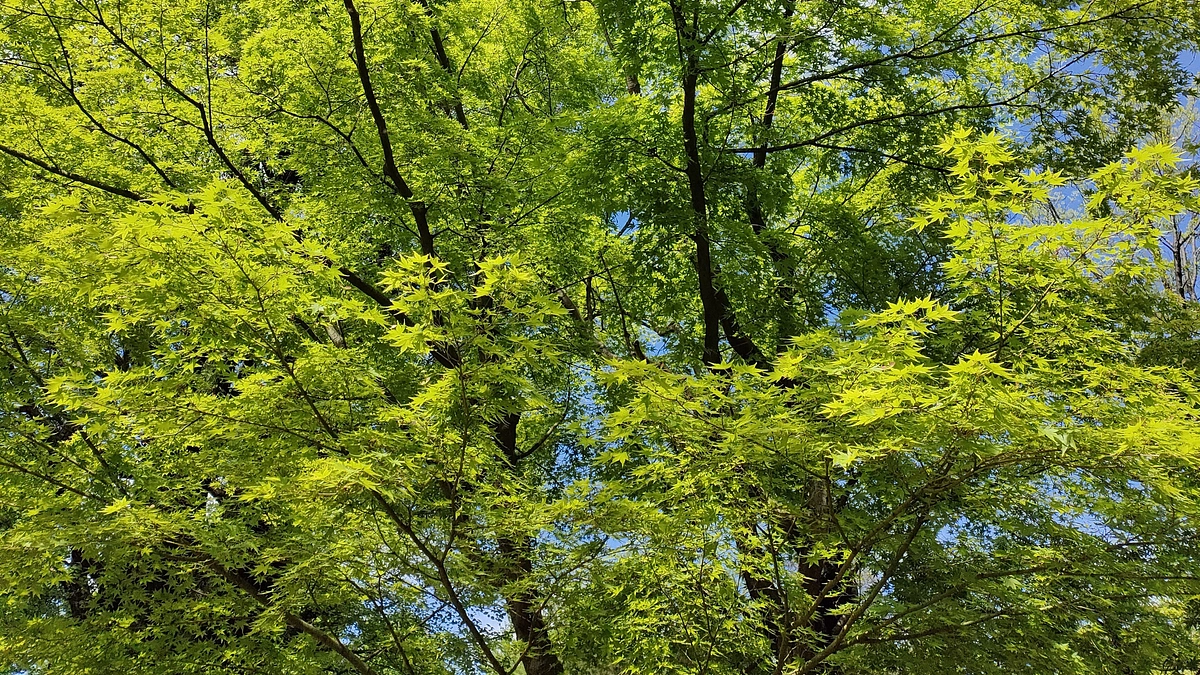 返礼品を発送いたしました