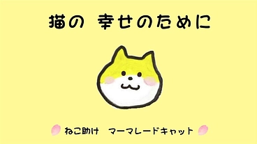 猫の幸せのために マンスリーサポーター募集中！ のトップ画像