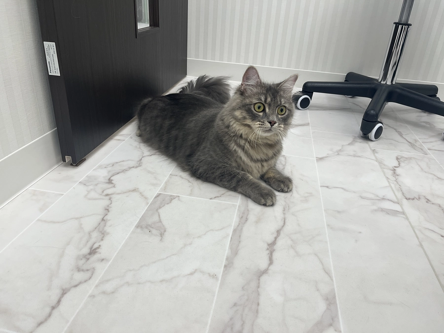 投薬49日目　甘々甘ろあち