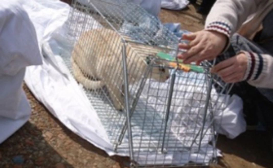 1頭分の費用を全力で応援コース