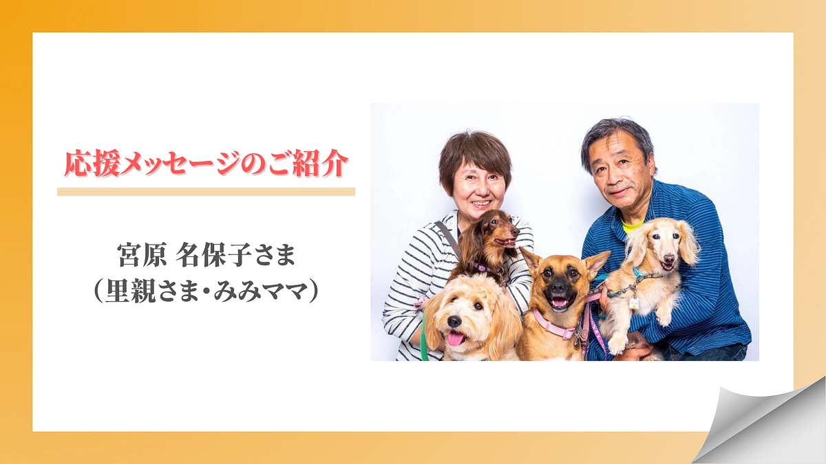 【メッセージリレー#1】宮原名保子さま  （里親さま・みみママ）