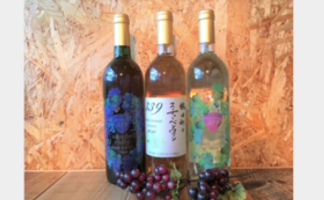 おすすめ3本セット