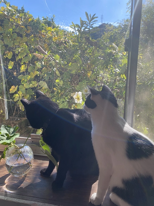 ありがとうございました♡