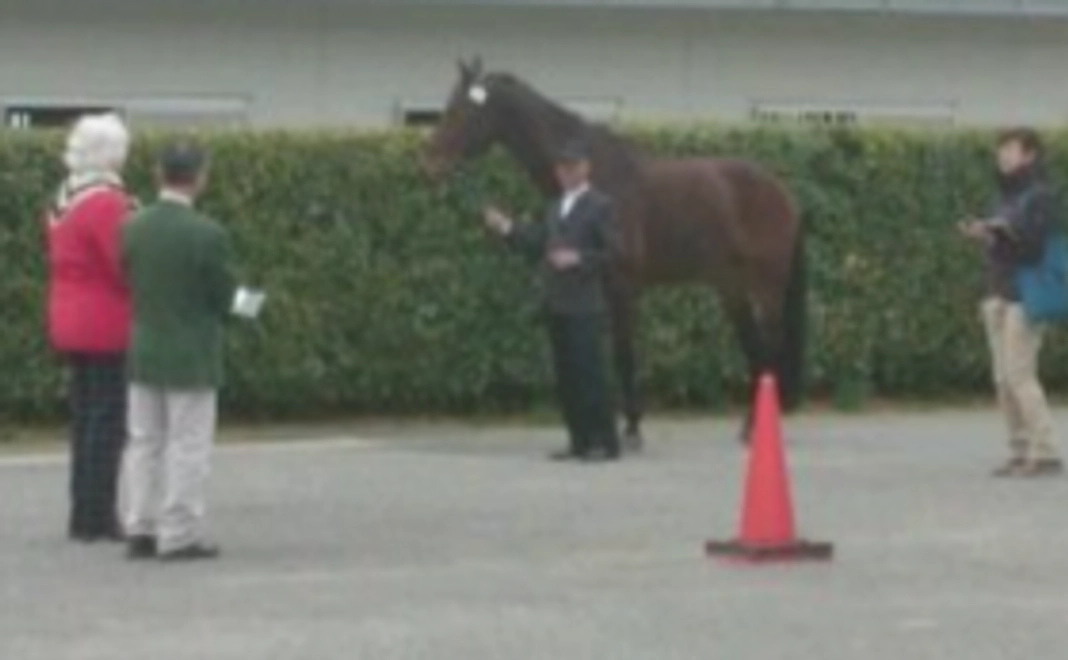 大会の模様&競技演技のDVD