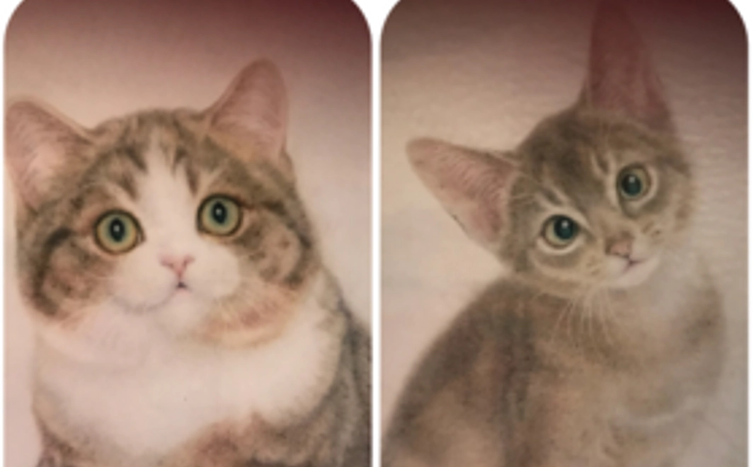 ポストカードコース