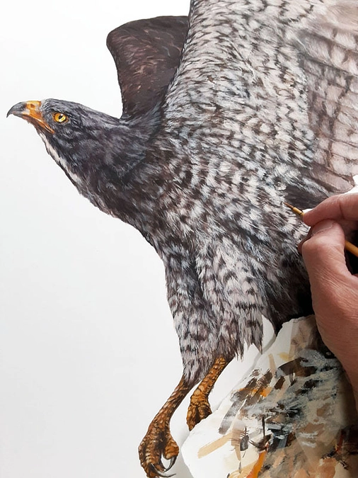 【応援メッセージ】岡田宗徳さん